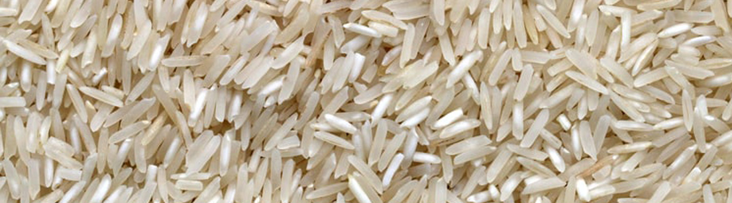 Bnp Rice Infographics : Rice, what is at stake ? - BNP Paribas Switzerland